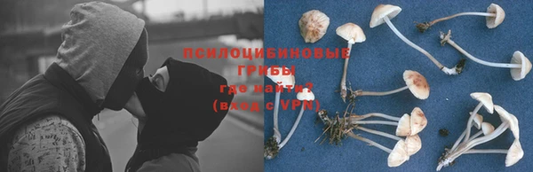 трава Алексин