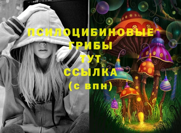 трава Алексин