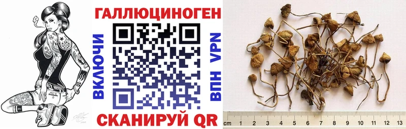 Галлюциногенные грибы MAGIC MUSHROOMS  магазин    Находка 